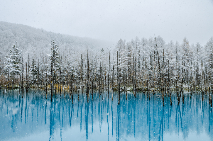 Shirogane Blue Pond, Hokkaido Self-Drive