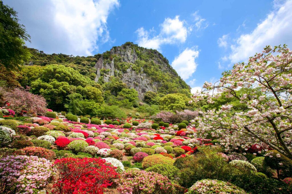 Saga Prefecture