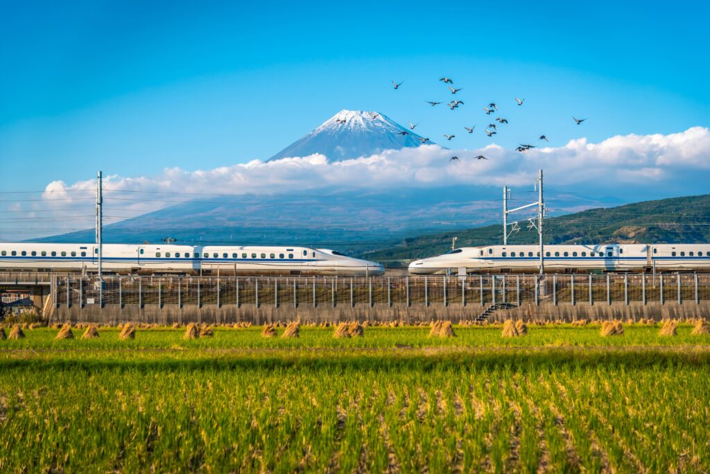 Tokyo & Osaka