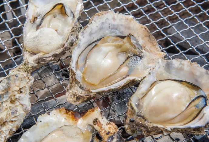 hiroshima grilled oysters