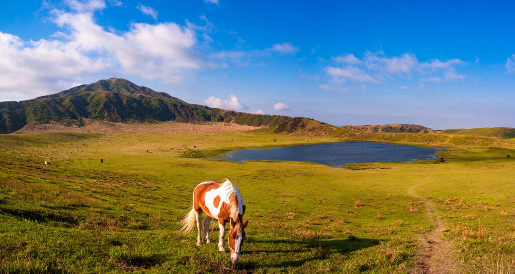 Kyushu Free & Easy, Mt Aso