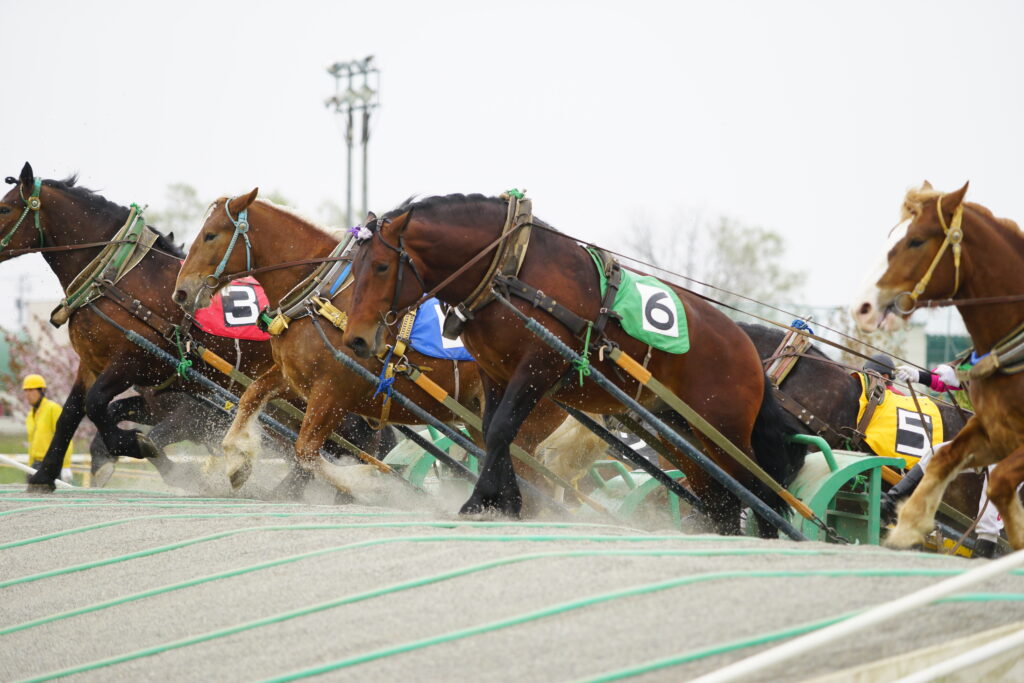 Tokachi Banei Horse Racing
