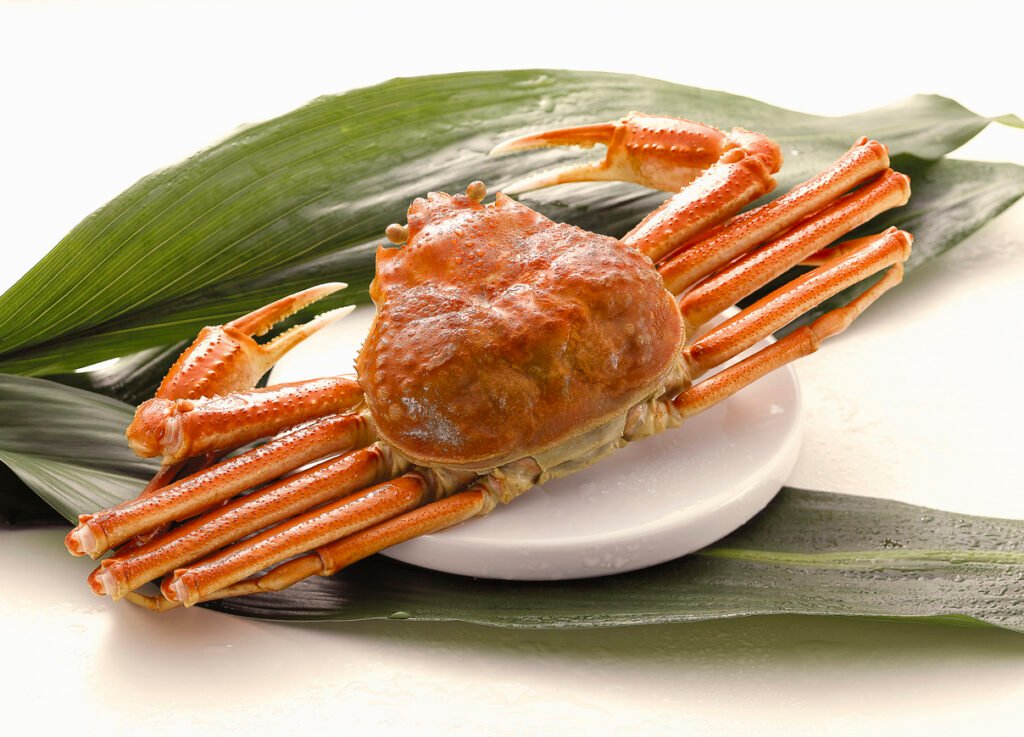 Matsuba Crab, Tottori
