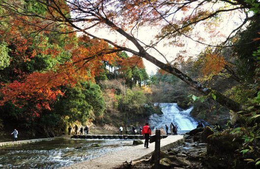 300_養老渓谷粟又の滝