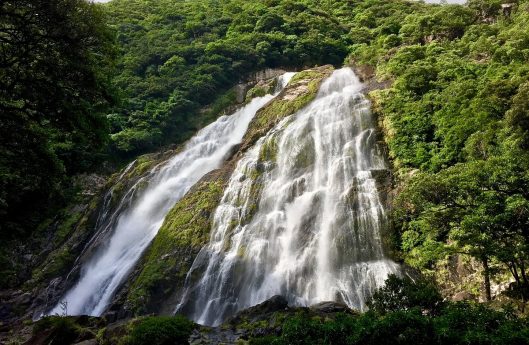 Ohko no Taki Waterfalls Yakushima