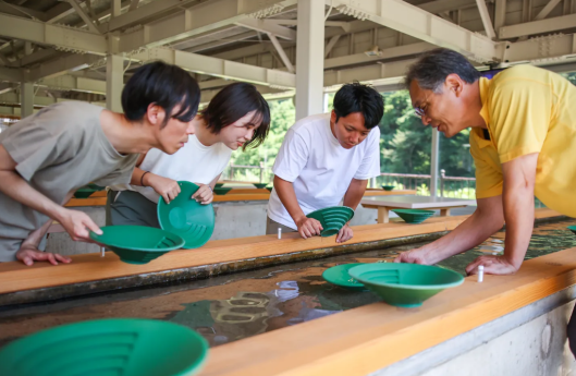 gold panning sado island