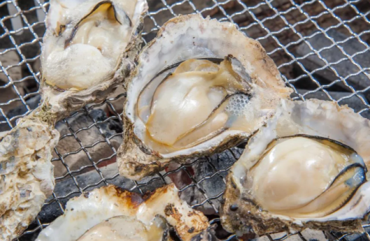 Miyajima Oysters