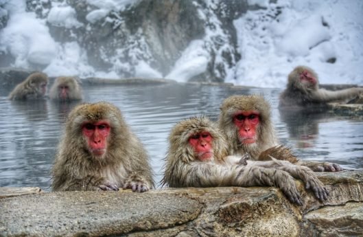 Photo taken in Nagano-Shi, Japan