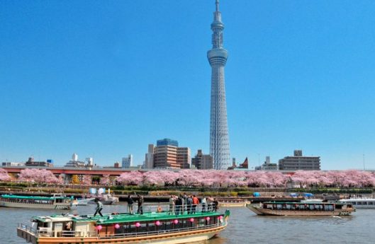 yakatabune lunch sumida river